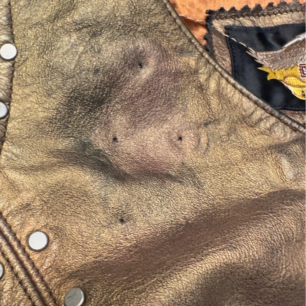 Vintage 2002 HARLEY DAVIDSON Women’s Metallic Leather Sleeveless Zip Front Vest - Picture 6 of 16
